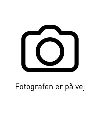 Fotografen Er På Vej